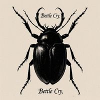 David H - BETTLE CRY