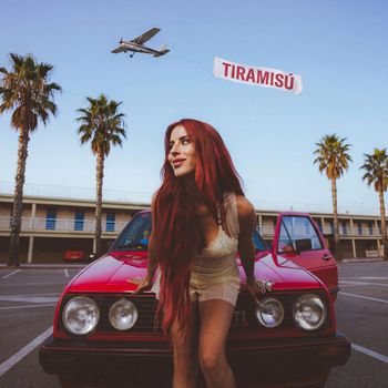 Vicco - TIRAMISÚ