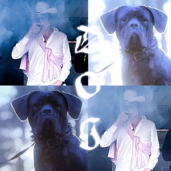 Frankly - Dog of Light