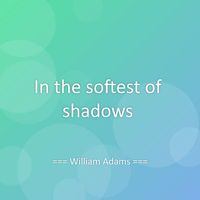 William Adams - In the softest of shadows