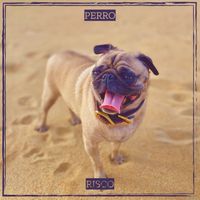 risco - Perro