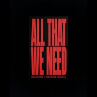 LAVISH - All That We Need (Slowed + Reverb Remix)