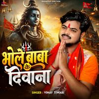Vinay Tiwari - Bhole Baba Ke Deewana