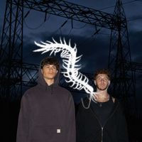 FAULTLINE - Parasite (Explicit)