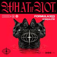 formula303 - What If Not