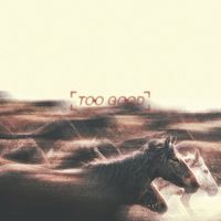 The Vision - Too Good