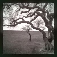 lost - talk like this (Explicit)