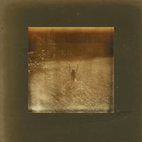 Samana - Without Words