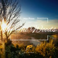 Max Pross - In The Woods