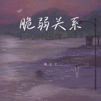 黄文文 - 脆弱关系