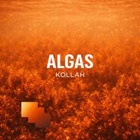 Kollah - Algas