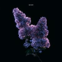 SEVER - Lilac