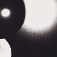VulpyMusic - No One is No One