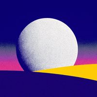 Fur Coat - Own the Night