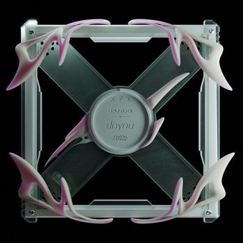 Janus - doyou
