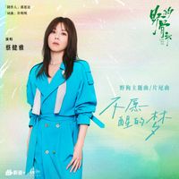 蔡健雅 - 不愿醒的梦 (《野狗骨头》电视剧野狗主题曲/片尾曲)