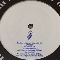 Zombies In Miami - Where is the Voice of that Man on Acid