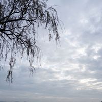 OCTOBER - Rainy Day