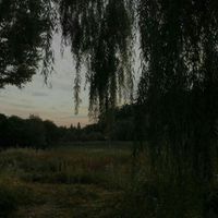 apocalypse - Number 7