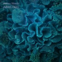 Adrian Wreck - Abalone