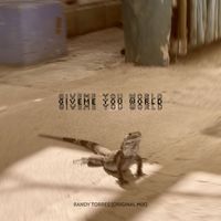 RANDY TORRES - GIVEME YOU WORLD