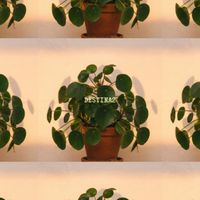 UNIVERSE - Destina2 (Explicit)