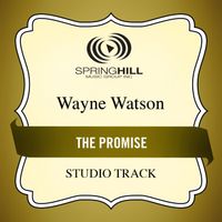 Wayne Watson - The Promise (Studio Track)