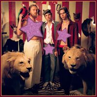 The Stingrays - Handsome Circus