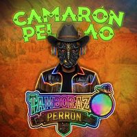 Tamborazo Perrón - Camarón Pelao