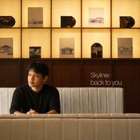Skyline - back to you