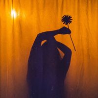 Lens - Margherita