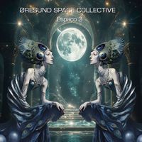 Øresund Space Collective - Espaco 3