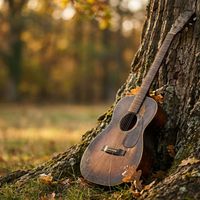 Fireflies - The Ballad of the Old Oak