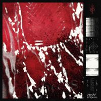 Disinety - DREAD & TURMOIL