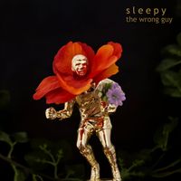 Sleepy - The Wrong Guy