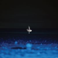Healer - Black & Blue