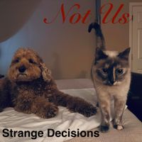 Not Us - Strange Decisions