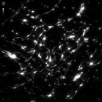 BVSIS - Where U At