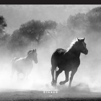 GP - Django