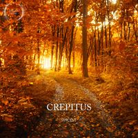 Vincent - Crepitus