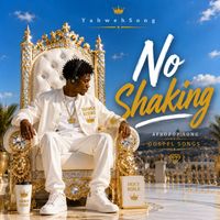 Dee - No Shaking