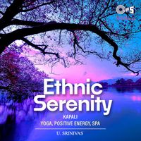 U. Srinivas - Ethnic Serenity