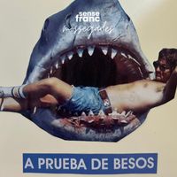 sense franc - Mossegades