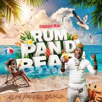 Elephant Man - Rum Pan Di Beach (Explicit)