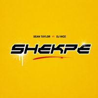 Sean Taylor - Shekpe