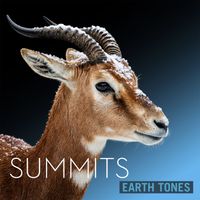 Bleeding Fingers - Earth Tones: Summits