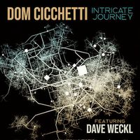 Dom Cicchetti - Intricate Journey (feat. Dave Weckl) (Radio Edit)