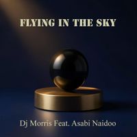 Dj Morris - Flying in the Sky