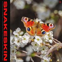 pearls - SNAKESKIN