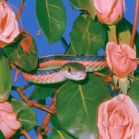Jamaimoi - Yeah slow
